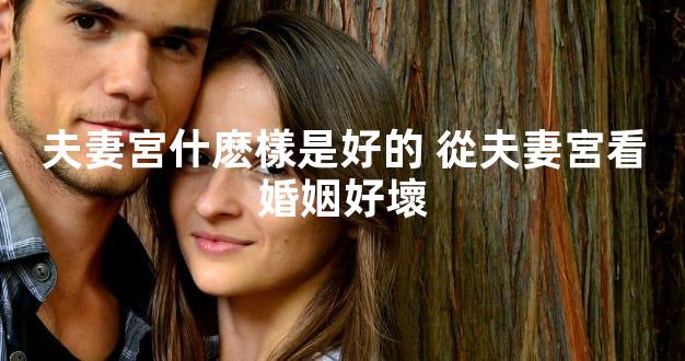 夫妻宮什麽樣是好的 從夫妻宮看婚姻好壞